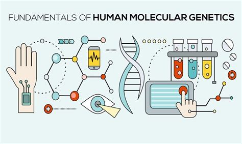 Fundamentals Of Human Molecular Genetics Global Edulink