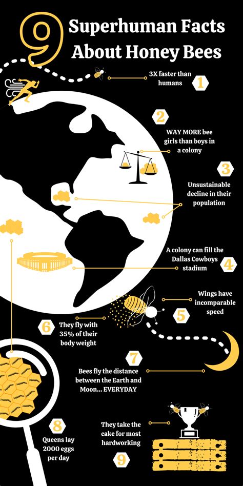 9 Superhuman Facts About Honey Bees Trivia With Infographic