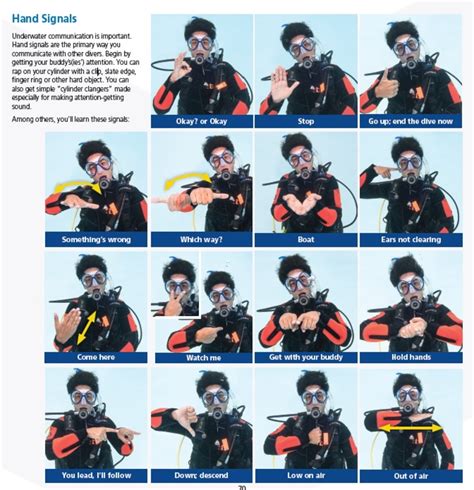 Scuba Diving Safety Tips For Beginners Hubpages