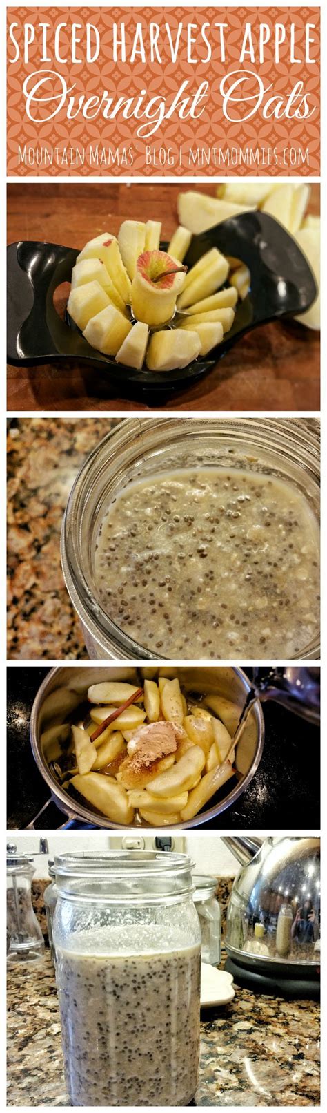 Filling whole grain oats, creamy greek yogurt, and fruit make this a light and nutritious meal that can be enjoyed either cold or how to make a healthy breakfast for weight loss. Spiced Harvest Apple Overnight Oats Breakfast Recipe ...
