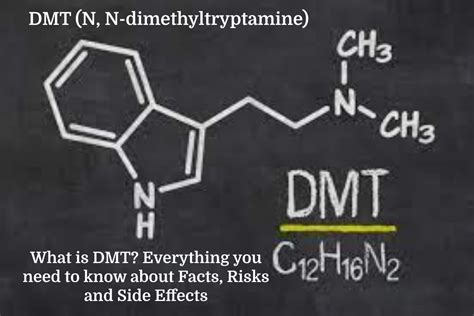 What Is Dmt Everything To Know About Facts Risks And Side Effects