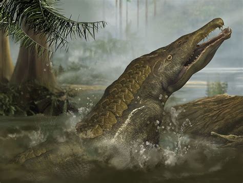 Smilosuchus By Karen Carr Studio Crocodile Pictures Prehistoric