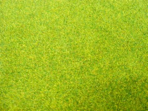 Green Grass Background Texture Download Photo Green Green Grass
