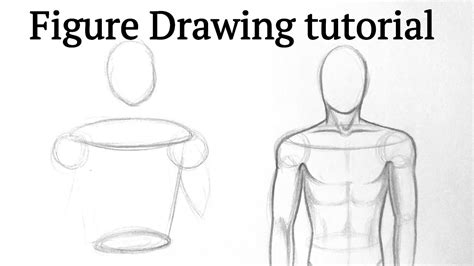 How To Draw The Male Torso Step By Step Youtube Otosection