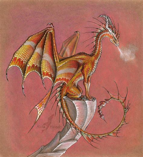 Western Dragons Fairy Dragon Fantasy Dragon Fantasy Art Dragon