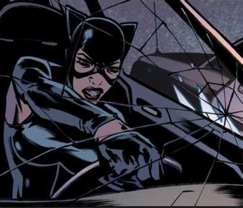 Pin By Msmeme On Cat Woman Catwoman Batman Comics Miss Kitty