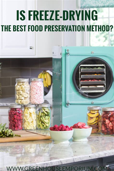 Is Freeze Drying The Best Food Preservation Method Greenhouse Emporium