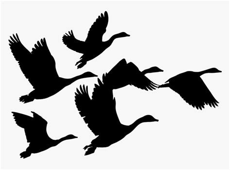 Geese Goose Birds Animals Flying Silhouette Svg Geese Clip Art