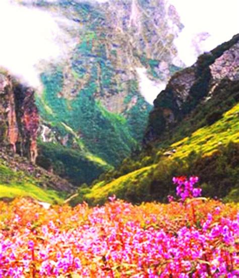 Valley Of Flowers National Parkuttarakhand India Beautiful Places To