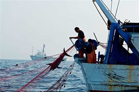 Día Internacional de la lucha contra la pesca ilegal no declarada y no reglamentada Ruta Pesquera