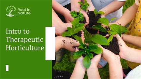 Intro To Therapeutic Horticulture Course Root In Nature