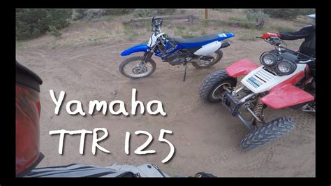 Yamaha's ténéré travel bikes yamaha xscrambler 700 yamaha xt660z tenere africa as a tenere rider from the very start, and a fan of yamaha's proven cp2 engine from my xsr 700. First Ride on the Yamaha TTR 125 | Oregon Motorcycle 2020 ...