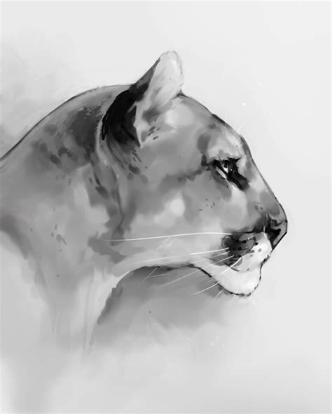Mountain Lion Stencil