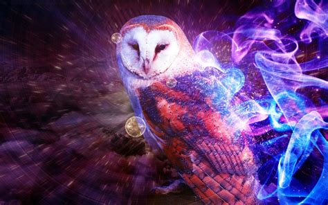 Free 20 Owl Wallpapers In Psd Vector Eps