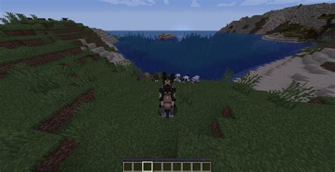 More Dog Colors And Breeds(1.15 Edition) Minecraft Texture Pack