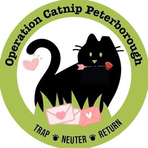 Operation Catnip Peterborough Peterborough On