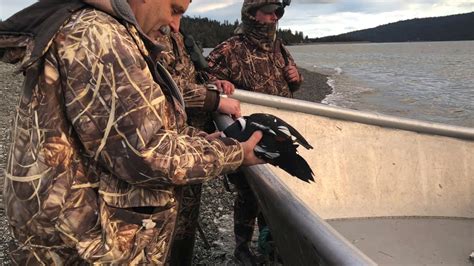 Awesome Alaska Sea Duck Hunt Duck Kill On Drone Harlequin Surf