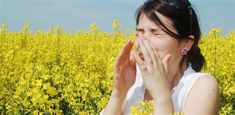 Pollen Is Getting Worse But You Can Make Things Better With These Tips