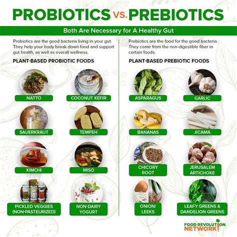 How To Eat Probiotics And Prebiotics