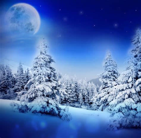 Winter Night In Fairy Snowy Fir Forest With Moon And Starry Sky