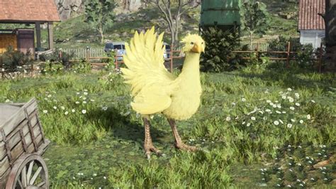 How To Get A Chocobo In Final Fantasy 7 Rebirth Dot Esports