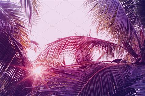Tropical Vibes Background | Tropical vibes, Tropical background, Tropical