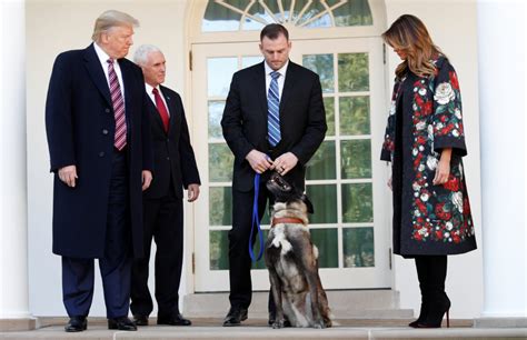 Watch Trump Honors Military Dog Involved In Al Baghdadi Raid Pbs