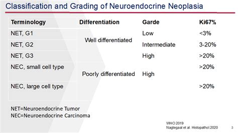 Classification And Grading Of Neuroendocrine Neoplasia Carcinoid