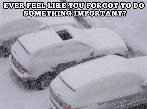 10 Best Snow Blizzard Memes Thatll Keep You Warm From Laughing So Hard