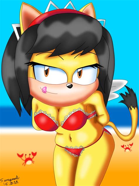 Honey The Cat Bikini Sonic The Hedgehog Know Your Meme