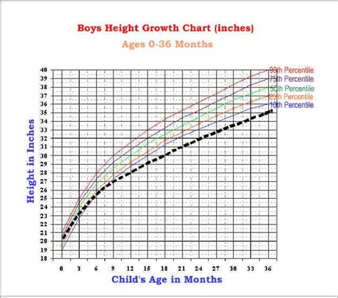Growth Chart Male 0 36 Months