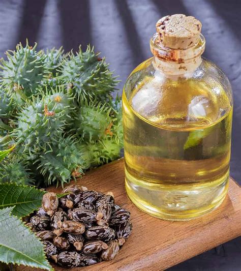 Castor oil cleansing definitely improve the gut bacteria in our colon but as it as not a direct way. ஆமணக்கு எண்ணெயின் நன்மைகள், பயன்கள் மற்றும் பக்க விளைவுகள் ...