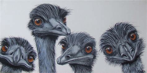 Learn how to draw emu simply by following the steps outlined in our video lessons. Emu Art... by Fiona Groom 'The Gangs all Here' acrylic on ...