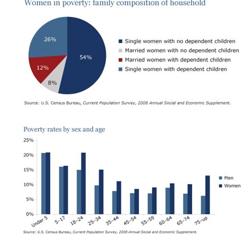 The Pie Chart Shows The Percentage Of Women In Poverty And The Bar