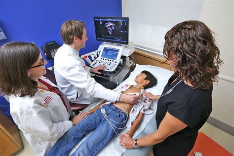Pediatric Echocardiography Alsir For Health Services Ltd Co İstanbul