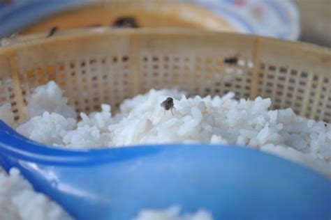 Beberapa contoh cara menghilangkan tahi lalat secara alami yang sering beredar di antaranya seperti Inilah 6 Petua Halau Lalat Dari Berleluasa Di Dapur ...