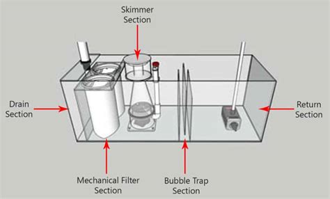 Aquarium Sumps This Is Everything You Need To Know The Beginners