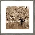 Stone Bridge Over The Lake In Central Park Vintage Photograph By Ricardmn Photography Fine Art