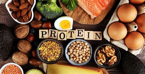 Para Qué Sirven Las Proteínas Cómo Incorporarlas A La Dieta
