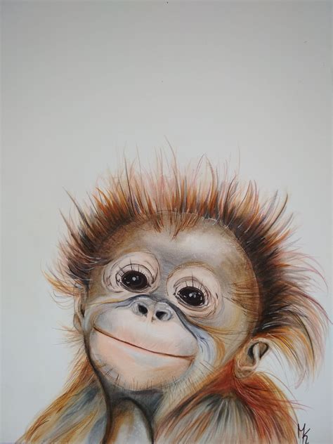 10 Orangutan Dibujo