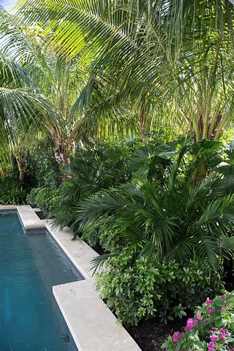 Tropical Pool Landscaping Ideas