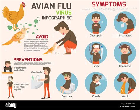 Avian Flu Infographic Elements Bird Flu Disease Discussion On Bird