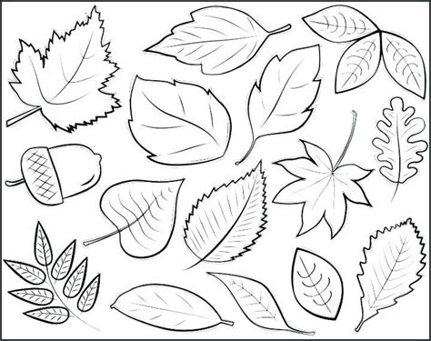 Image Result For Line Art Fall Leaves Simple Fall Leaves