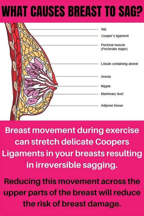 Repetitive Breast Movement Causes Strain On Your Delicate Breast