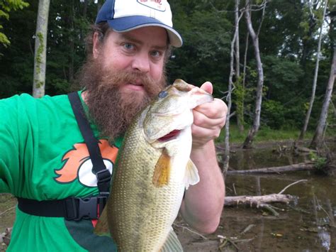 Summer Bass Fishing From the Bank & Bank Fishing for Bluegill With a
