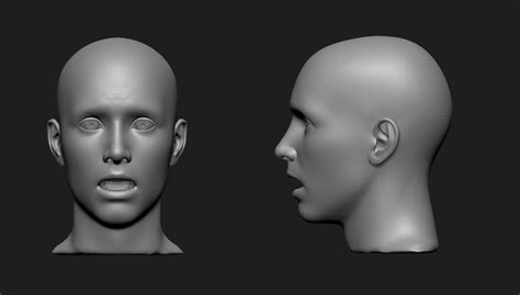 Male Head Base Mesh Afraid Expression 3d Model 3d Printable Cgtrader