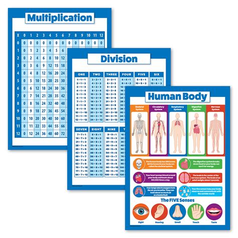 Buy 3 Pack Multiplication Table Division Understanding The Human