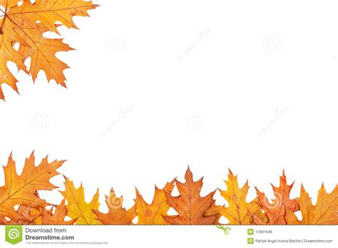 14 Free Fall Leaves Clip Art Preview Free Fall Autumn Hdclipartall