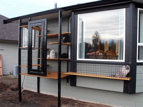 30 Cat Enclosures For Outside