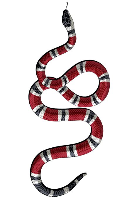 Gucci Snake Wallpapers Wallpaper Cave